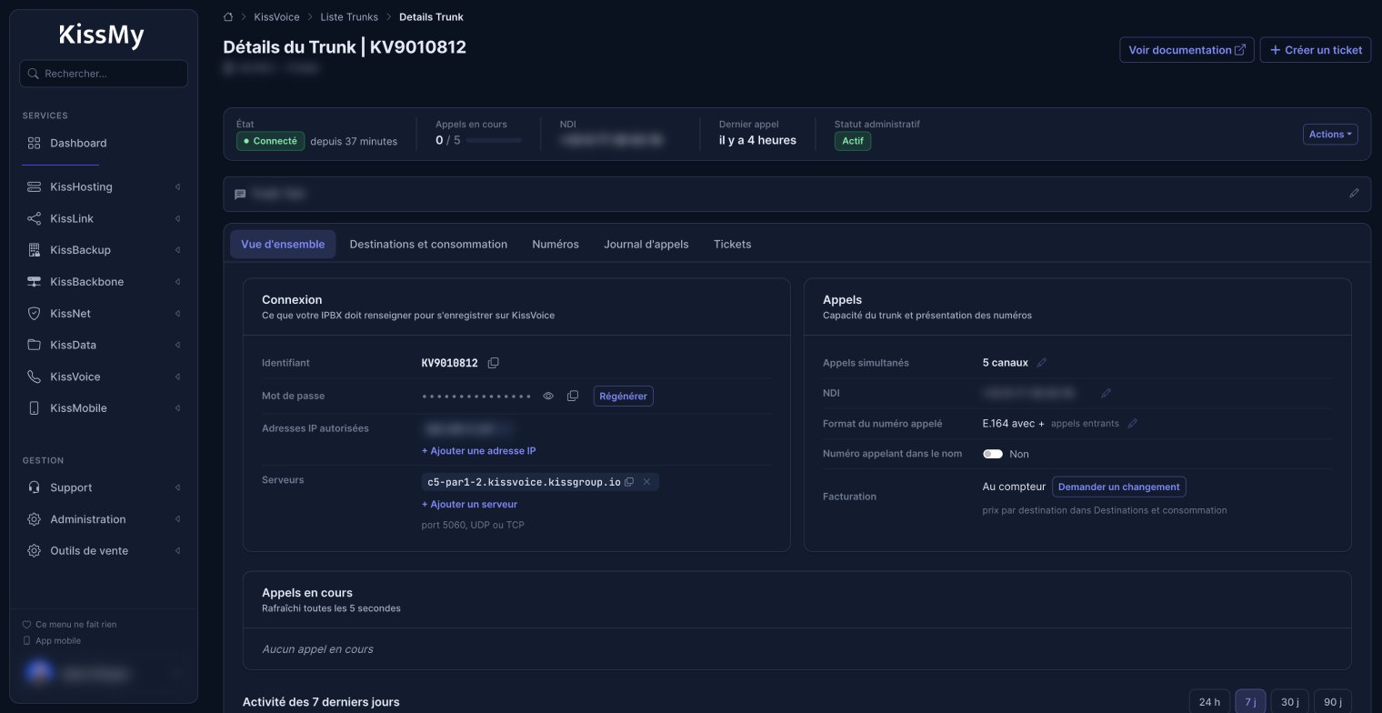 KissMy, Fiche d'un trunk SIP : état d'enregistrement, appels en cours, IP autorisées, serveurs et canaux.