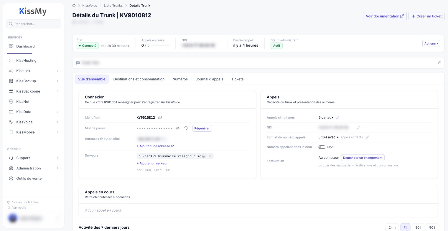 KissMy, Fiche d'un trunk SIP : état d'enregistrement, appels en cours, IP autorisées, serveurs et canaux.
